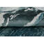 Tapis Serene Ocean View 6 x 8