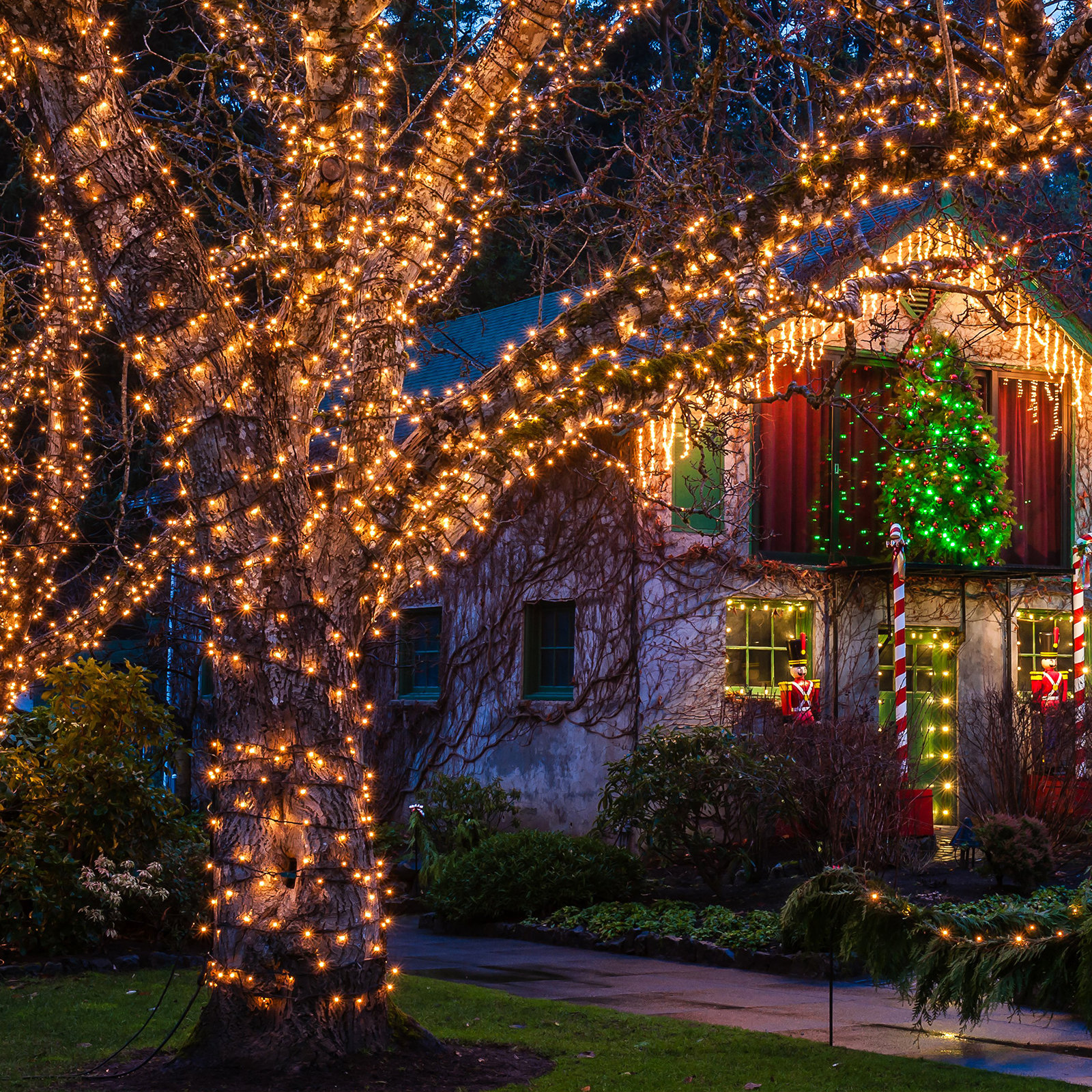 Outdoor LED String Lights with Modes, Warm White, 787"