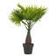 40cm Faux Palm Tree in Pot