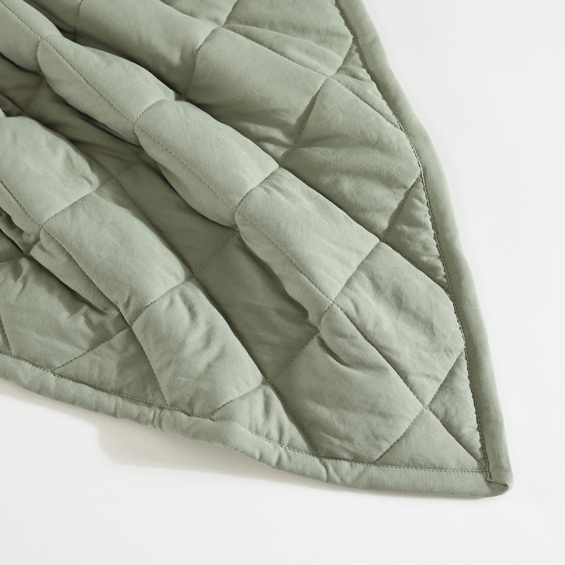 Eddie Bauer Classic Soft Solid Reversible Blanket, Twin, Green