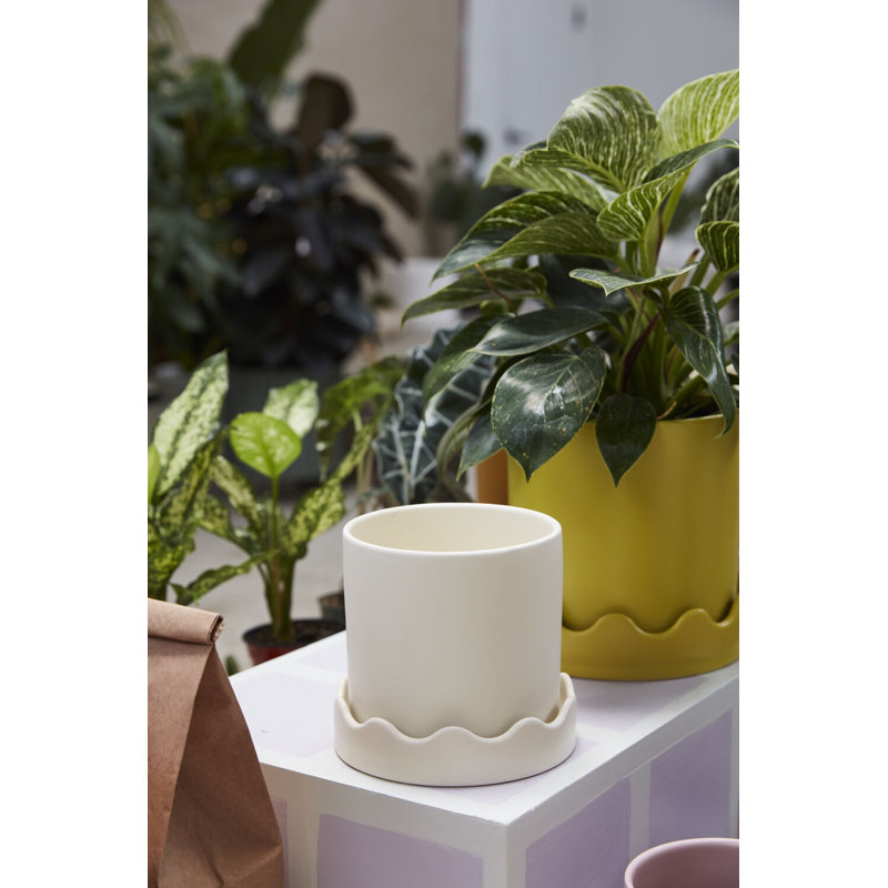 Pot avec soucoupe Winterview 7,5 po x 7,25 po, Beige, H 5,75 po x l 6 po x P 6 po