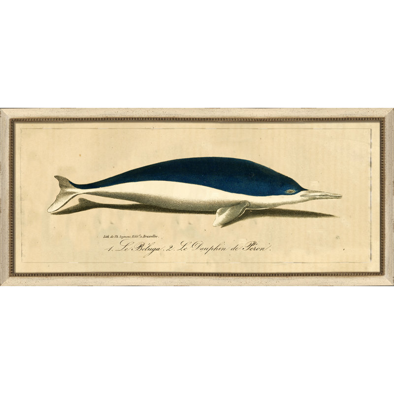 Vintage Dolphin II - peinture encadrée sur papier