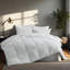 Wayfair Sleep Lightweight Down Alternative Comforter-459250366-403424111