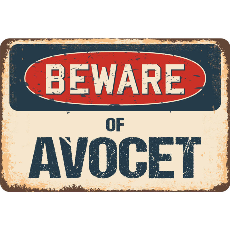 Bendale Beware Beware Of Avocet, H 8 po x l 12 po x P 0,1 po