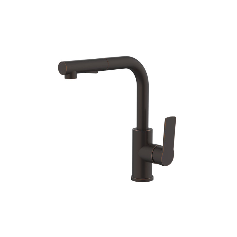 Daweier Pull Out Kitchen Faucet