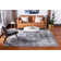 Arlie Oriental Indoor Rug