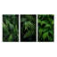 «Ferns Plant Whispering Fronds», 3 pièces sur toile-1951007455-1951007452