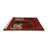 Oriental Indoor Rug-1457253644