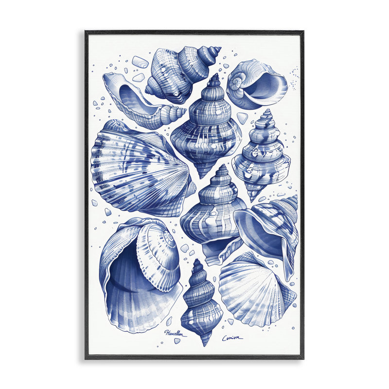 Collection Aquatic Conch, estampe numérique, design par LSR Design Studio, H 18 po x l 12 po, Giclée encadrée noir minuit