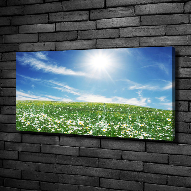 Meadow - No Frame Print on Canvas