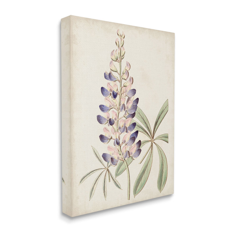 «Vintage Lupine Plant», art mural par Ridgeway, Toile tendue, 40" H x 30" W x 1.5" D