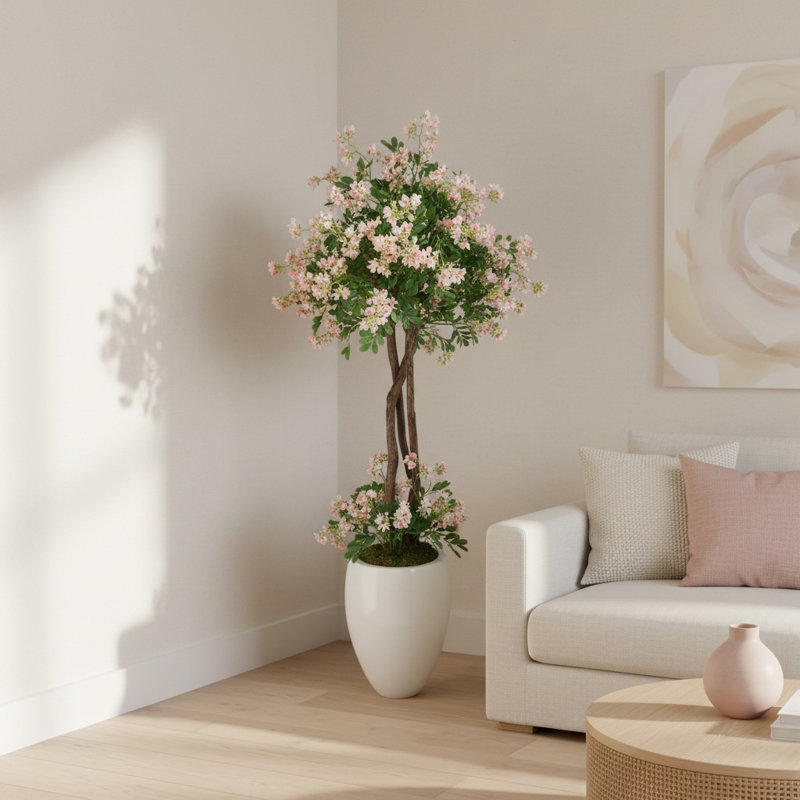 Stephanotis Tree in Fiberstone Pot