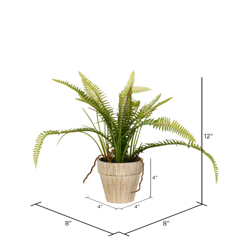 Agencements de fleurs en pot
