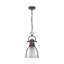 Luminaire suspendu 1 lumière avec chaîne Cajoux-107150046-107150052-107150057