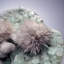 Mésolite sur apophyllite verte