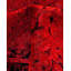 Shrey One-of-a-Kind 8' 3" X 10' 4" Hand Knotted Area Rug