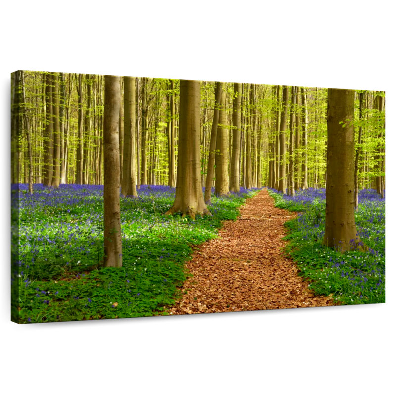 Alvord Hallerbos Beech Path