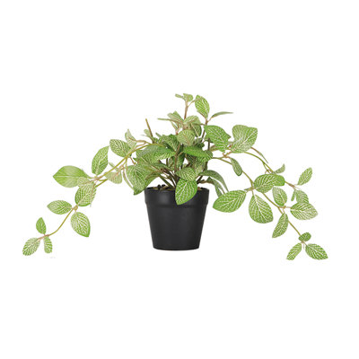 Plante artificielle rayée vert foncé
