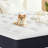 12'' Memory Foam Mattress In A Box – Medium Firm, Cooling Comfort-118805030