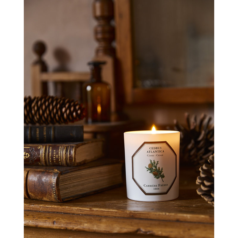 Cedar Candle