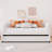 Elegant Upholstered Daybed With Ergonomic Backrest And Trundle, Perfect For Modern And Space-Efficient Living