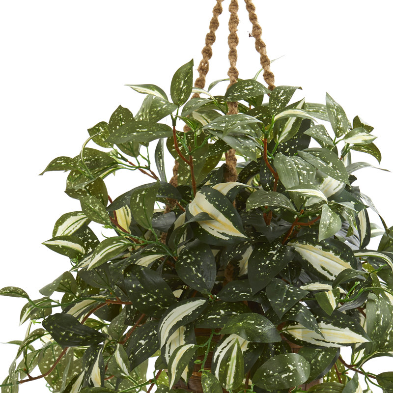 Plante ivy artificielle 26" en panier