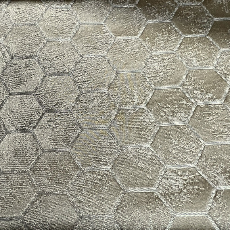 Tissu Gastonia, Champagne