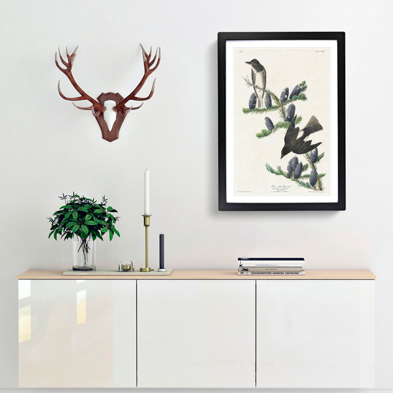 Olive-Sided Fly Catcher Bird by John Audubon - Picture Frame Painting Print, 65cm H x 48cm W x 2cm D, Black Framed