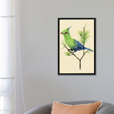 " Green Turaco II " by Melissa Wang
