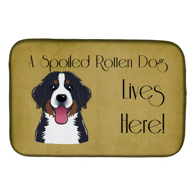 Tapis de séchage pour chien en vie bouvier bernois mountain dog