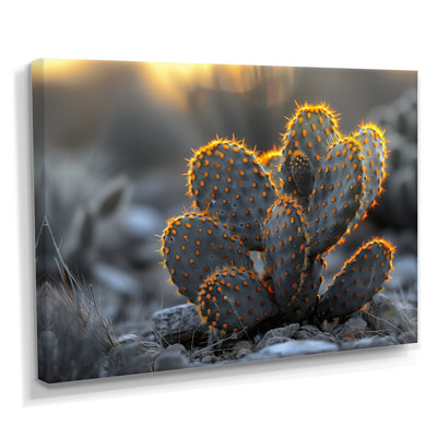 Cactus lumineux jaune et gris - Cactus floral