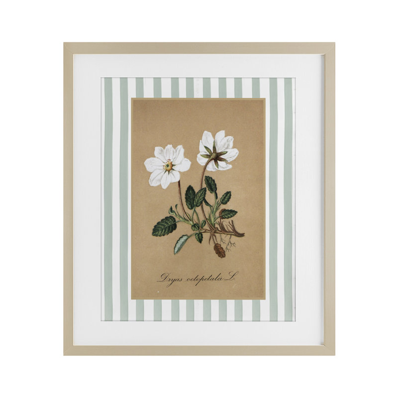Reproduction sous verre encadrée de fleurs blanches et de rayures vertes, par lettrage et doublure, Cadre de récolte en pin