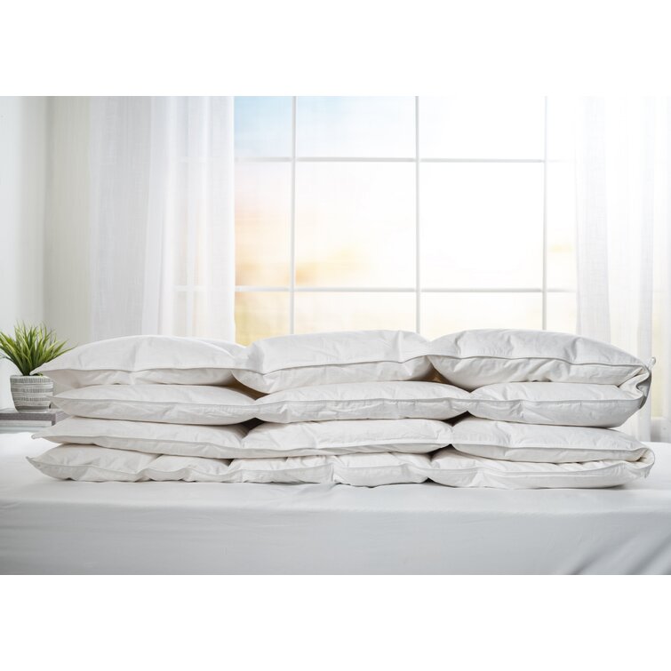 East Coast Bedding 100% White Goose Down Pillow Filler Stuffing, 5