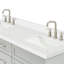 Hamlet 67'' Double Bathroom Vanity with White Quartz Top-93068168