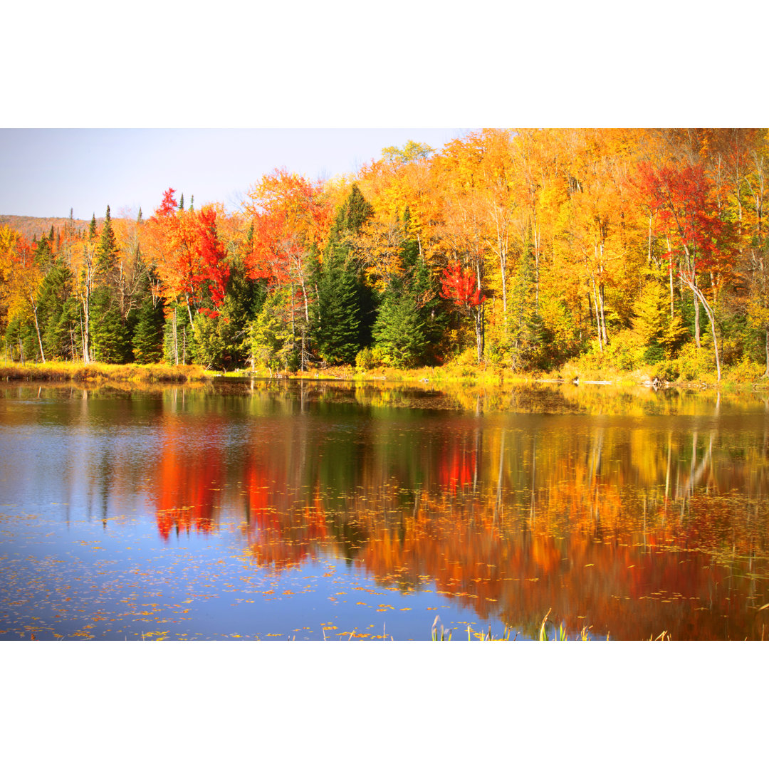 Brillanter Herbst in Vermont von Jtyler - Leinwandbild