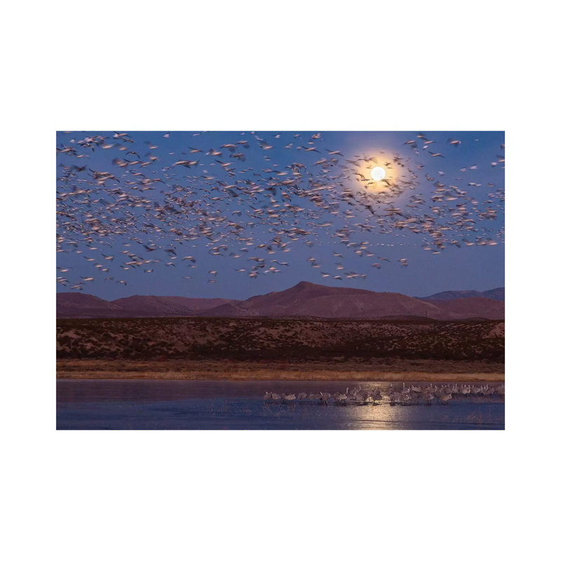 USA, New Mexico, Bosque Del Apache National Wildlife Refuge. Full Moon And Bird Flocks. by Jaynes Gallery - Wrapped Canvas Gallery-Wrapped Canvas Giclée
