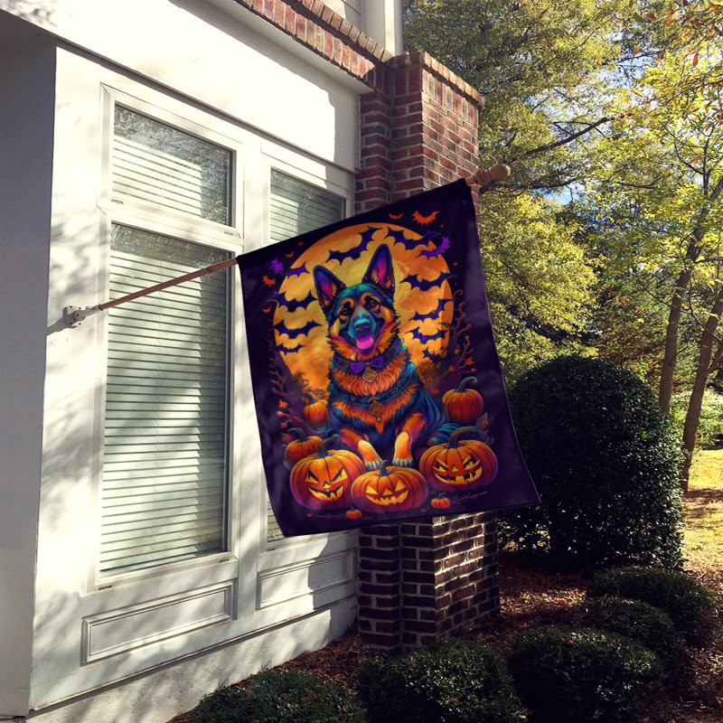 Janelee Double Sided Polyester Halloween Garden Flag, 40" x 28"