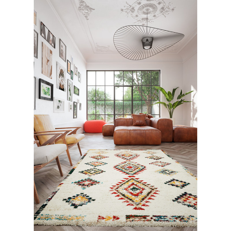 Botkin Shag Area Rug, Rectange 160 x 230cm