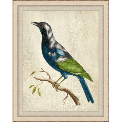 Blue Birds 8 - Peinture encadrée sur papier