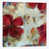 Toile tendue sélectionné