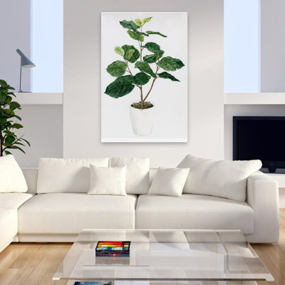 From My Plant Room - Plante tropicale verte en pot