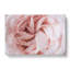 Petals Of A Pink Carnation - Wrapped Canvas-56639836