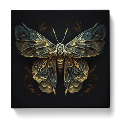Moth Abstract Art No.1 - Wrapped Canvas