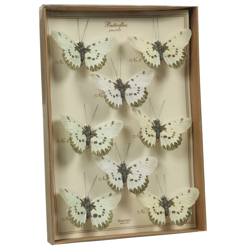 Ensemble papillon Acuna, Blanc / Brun