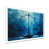 Black Picture Framed