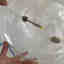 Photos des clients 1 de 2