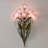 Countryside Wall Lamp