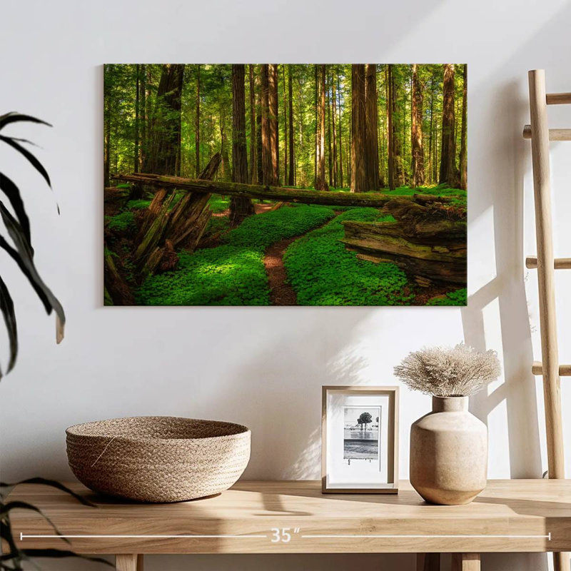 Forêt de séquoias à Harnek, H 16 po x l 24 po