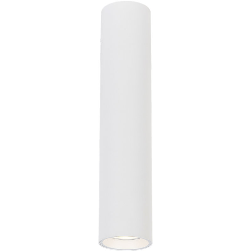 Genesis Flush Ceiling Light, Black, 30cm H x 6cm W x 6cm D