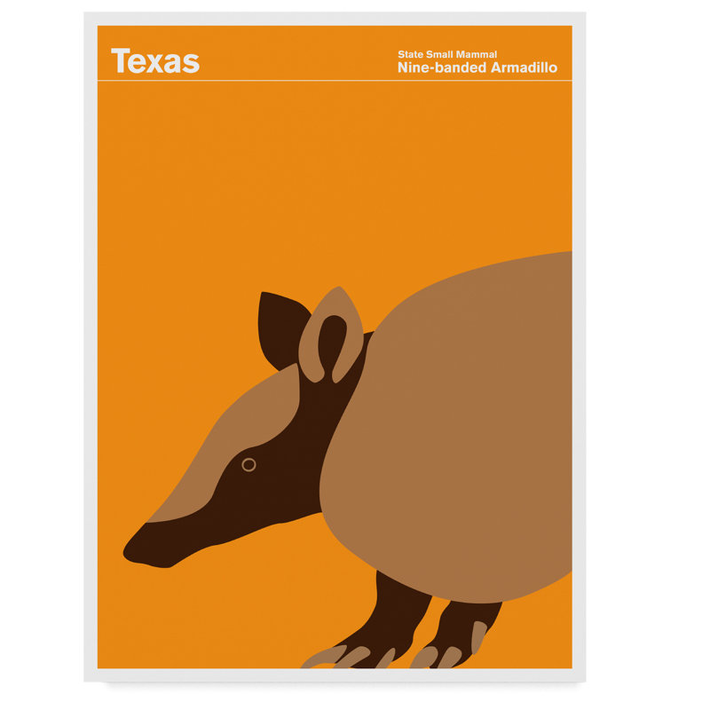 « texas armadillo », reproduction d’impression sur toile tendue, H 19 po x l 14 po x P 2 po